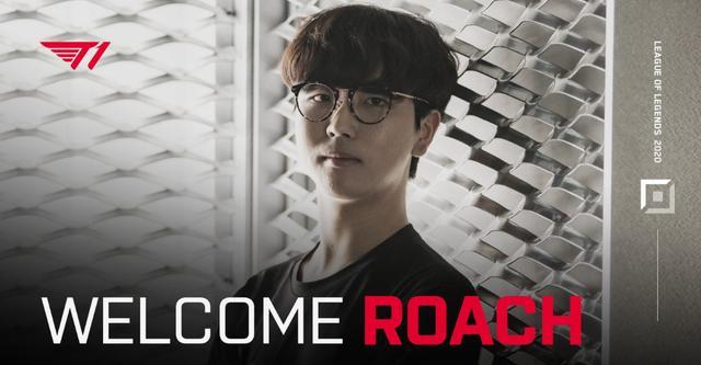 我们会努力 我们会努力